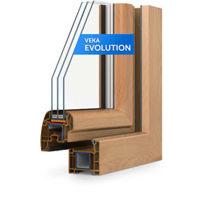Evolution